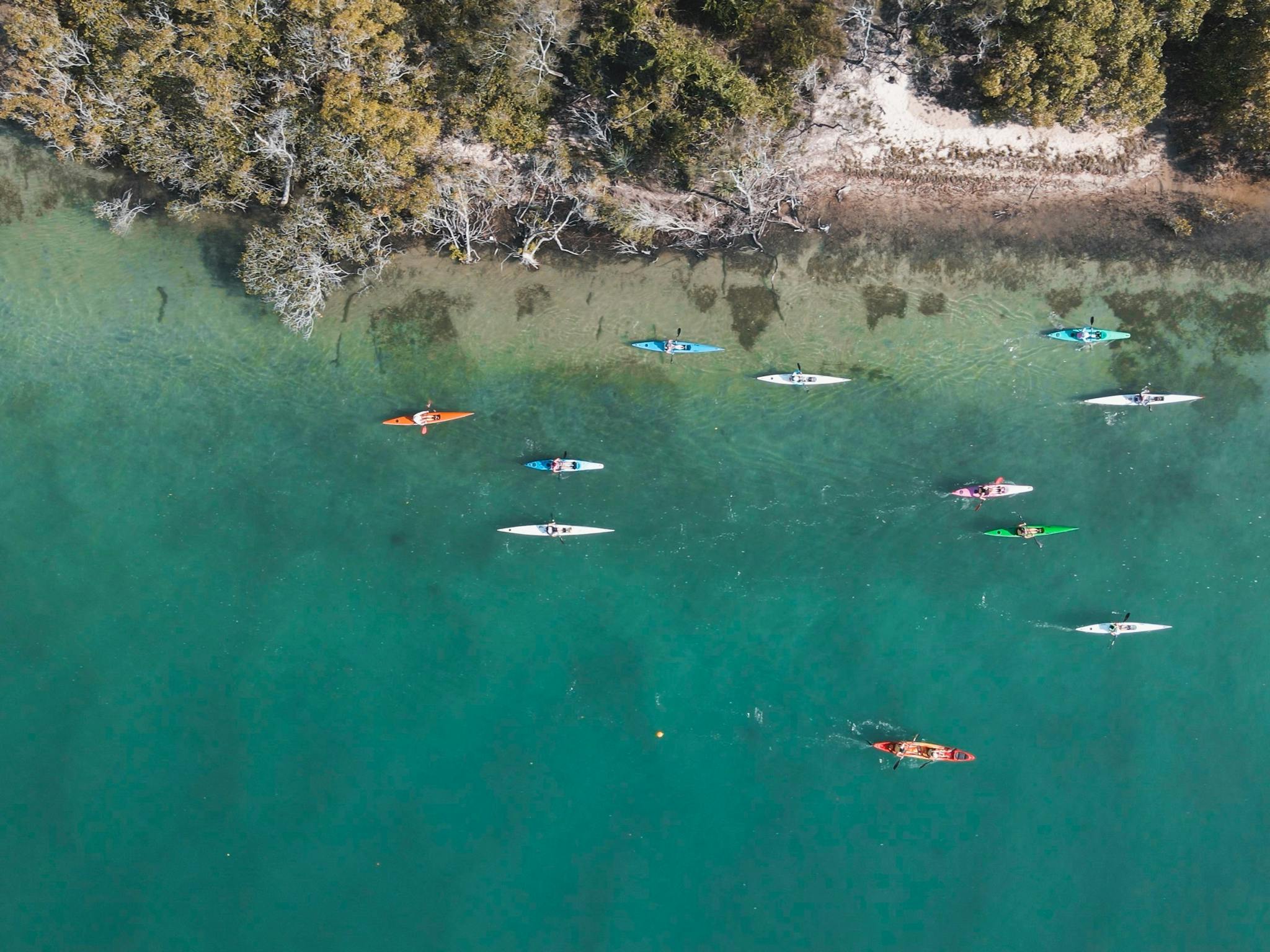 See the Noosa River See the Noosa River