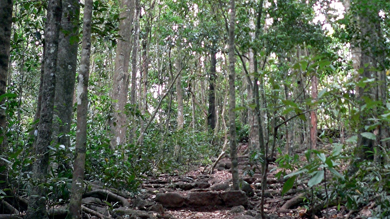 Hallorans Hill Conservation Park