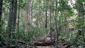 Hallorans Hill Conservation Park