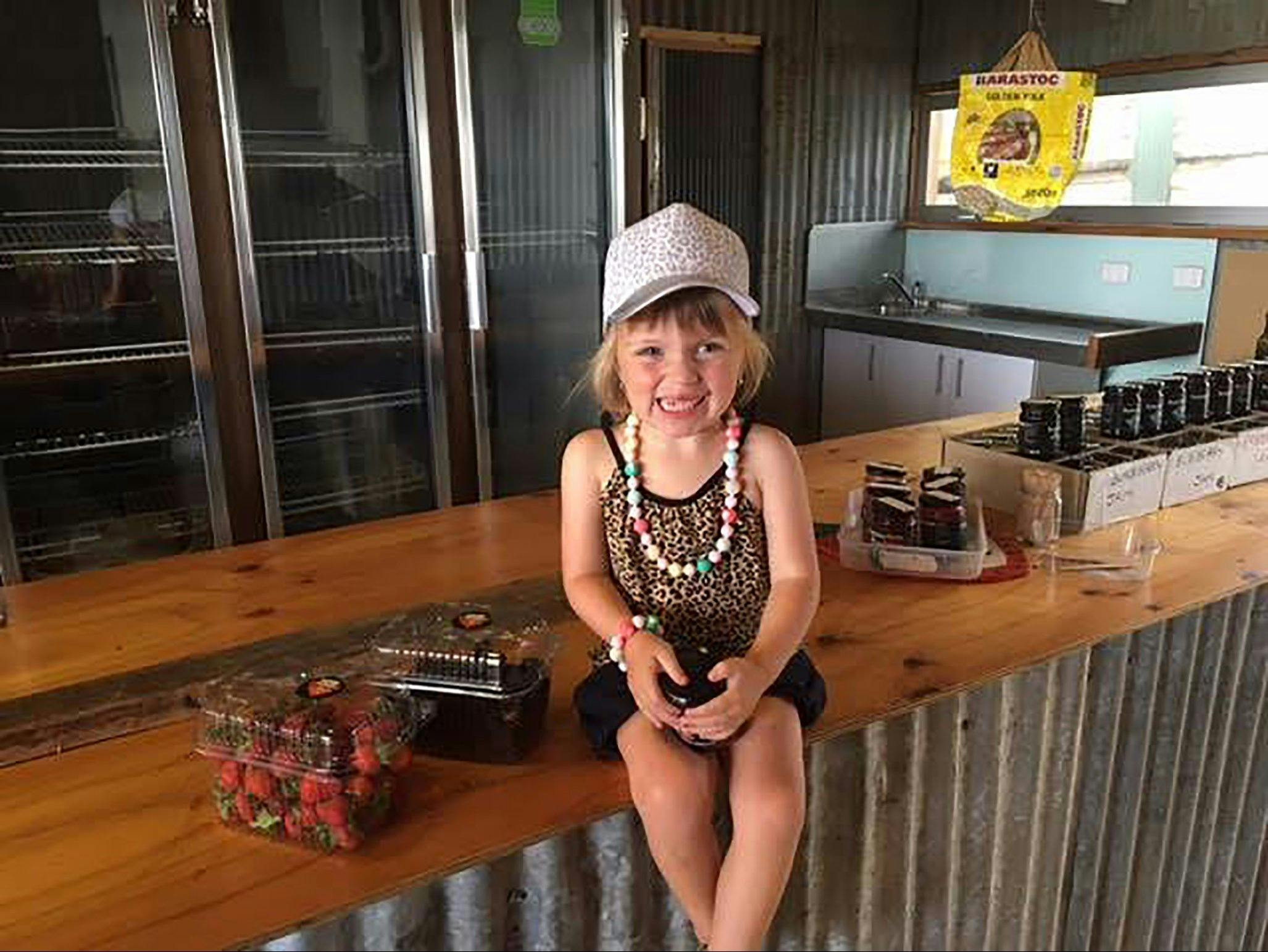 A little girl sitting on a bench with punnets full of berries