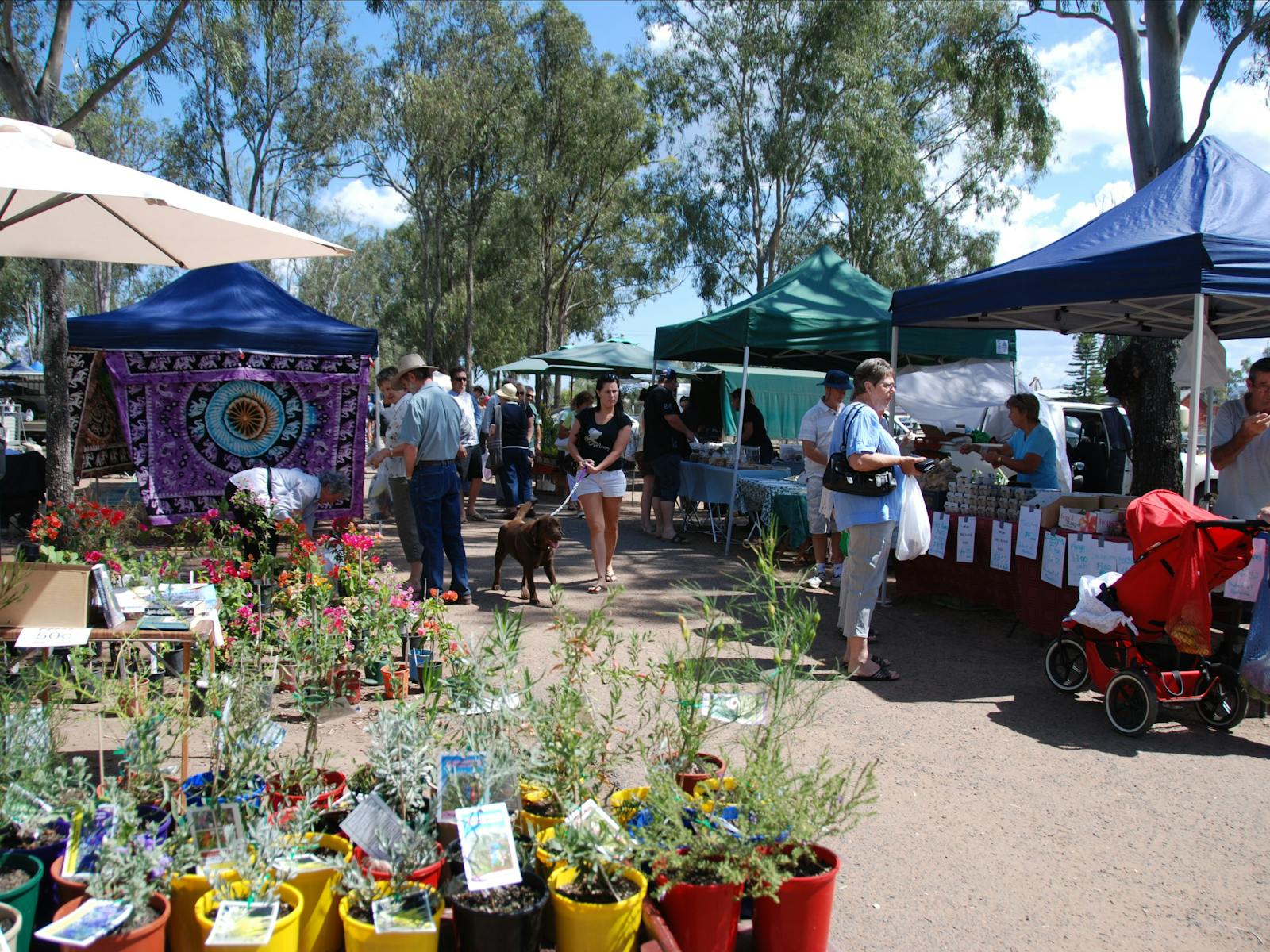 Image for Fernvale Country Markets