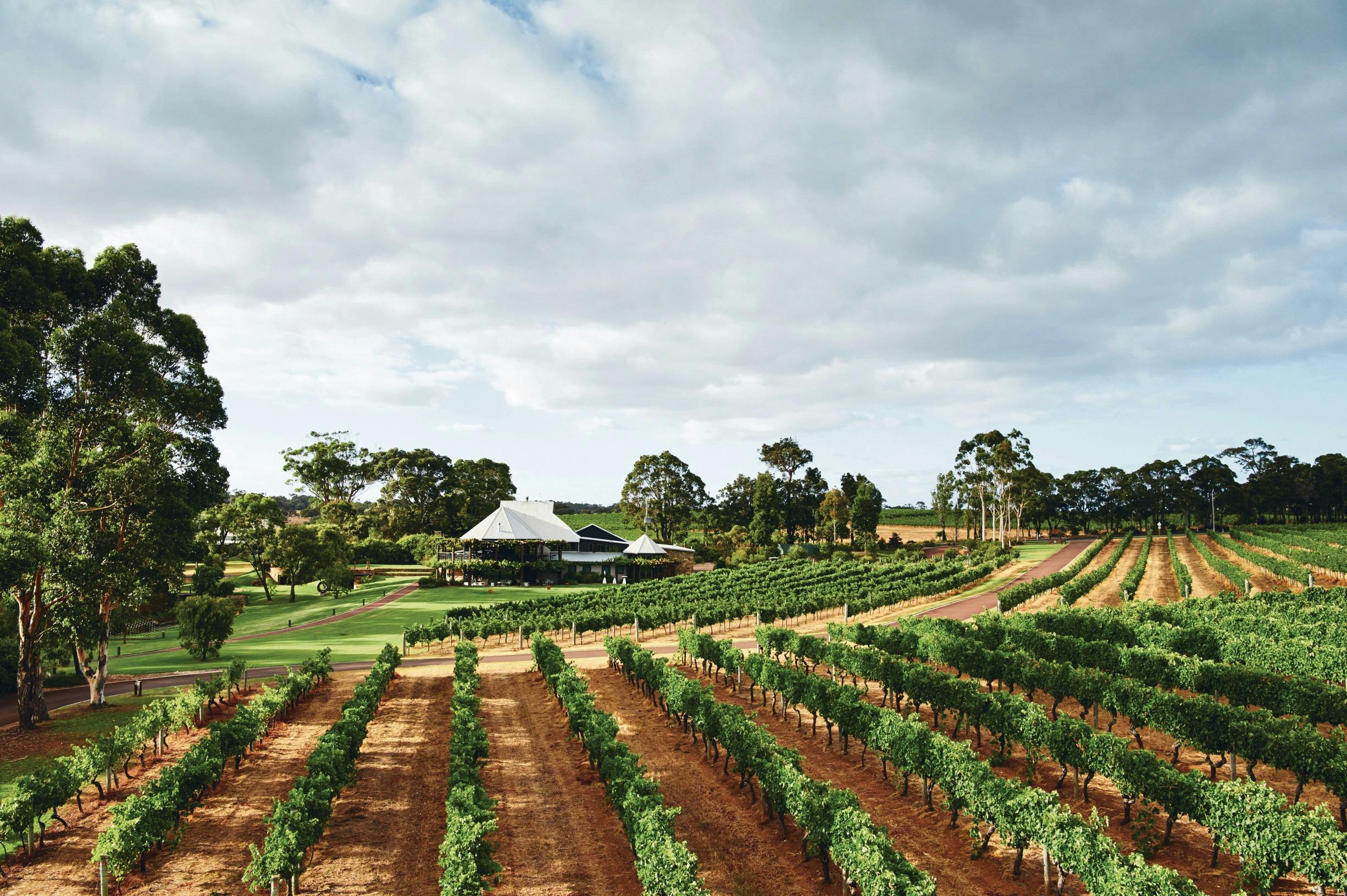 Aerial view  of Vasse Felix Western Australia