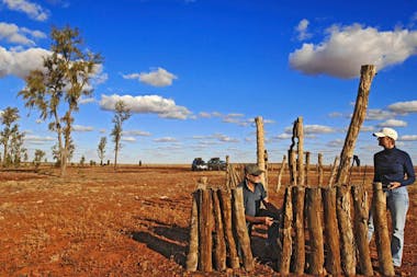 Mac Clark (Acacia peuce) Conservation Reserve