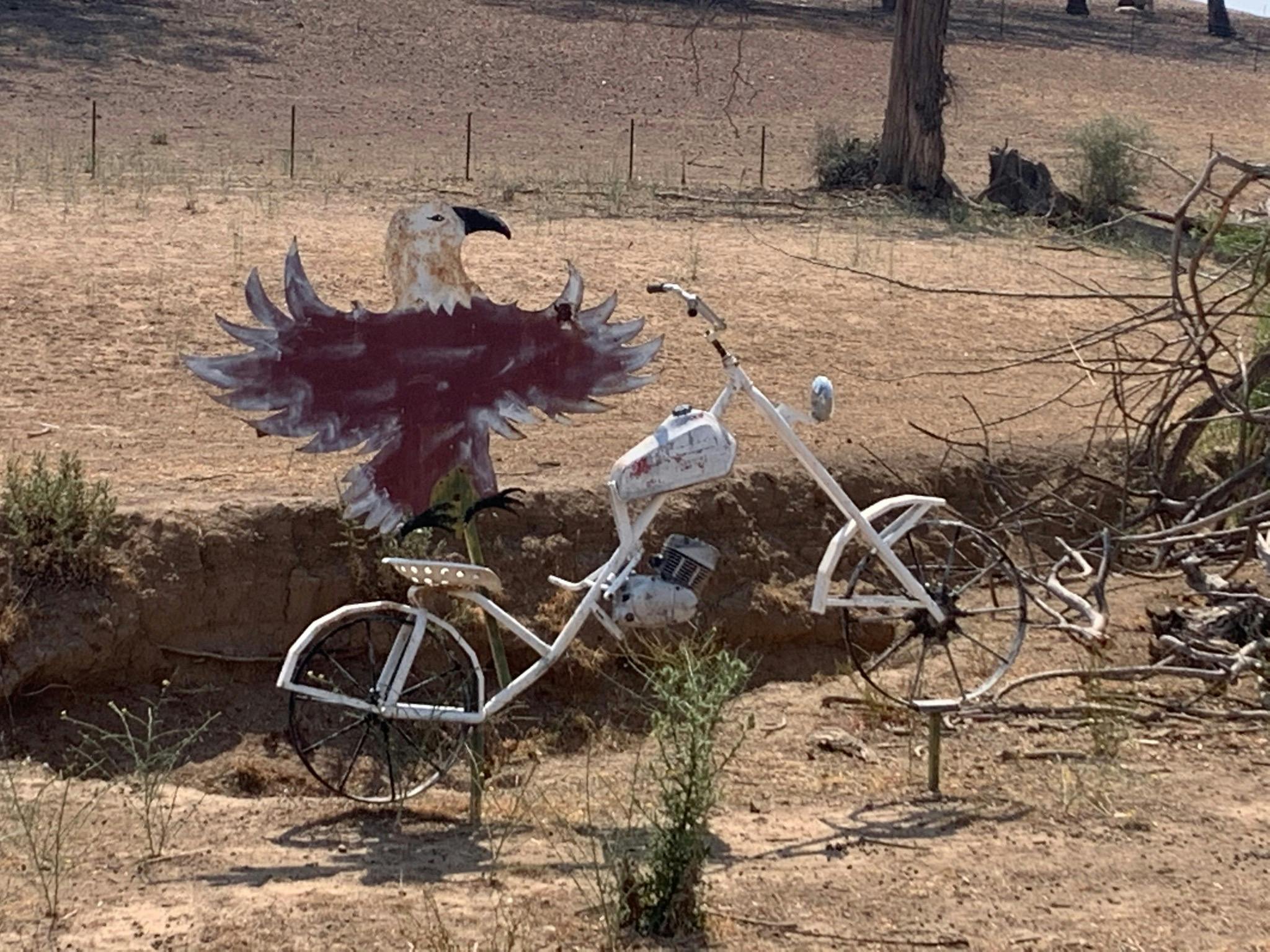 自転車に乗る動物のパドック アート トレイル