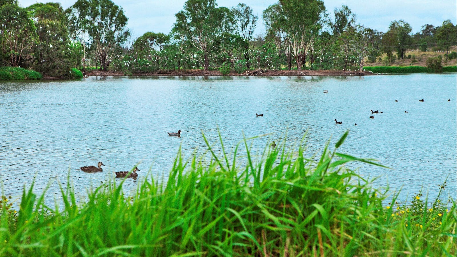 Lake Apex Precinct