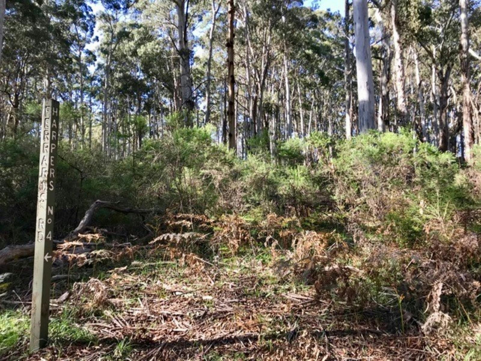 Photo of environment and signpost