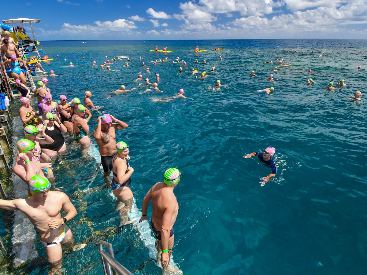 Entering the water - Great Barrier Reef Ocean Swim