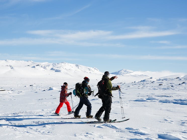 Our team of friendly guides will show you the ins and outs of backcountry skiing and snowboarding