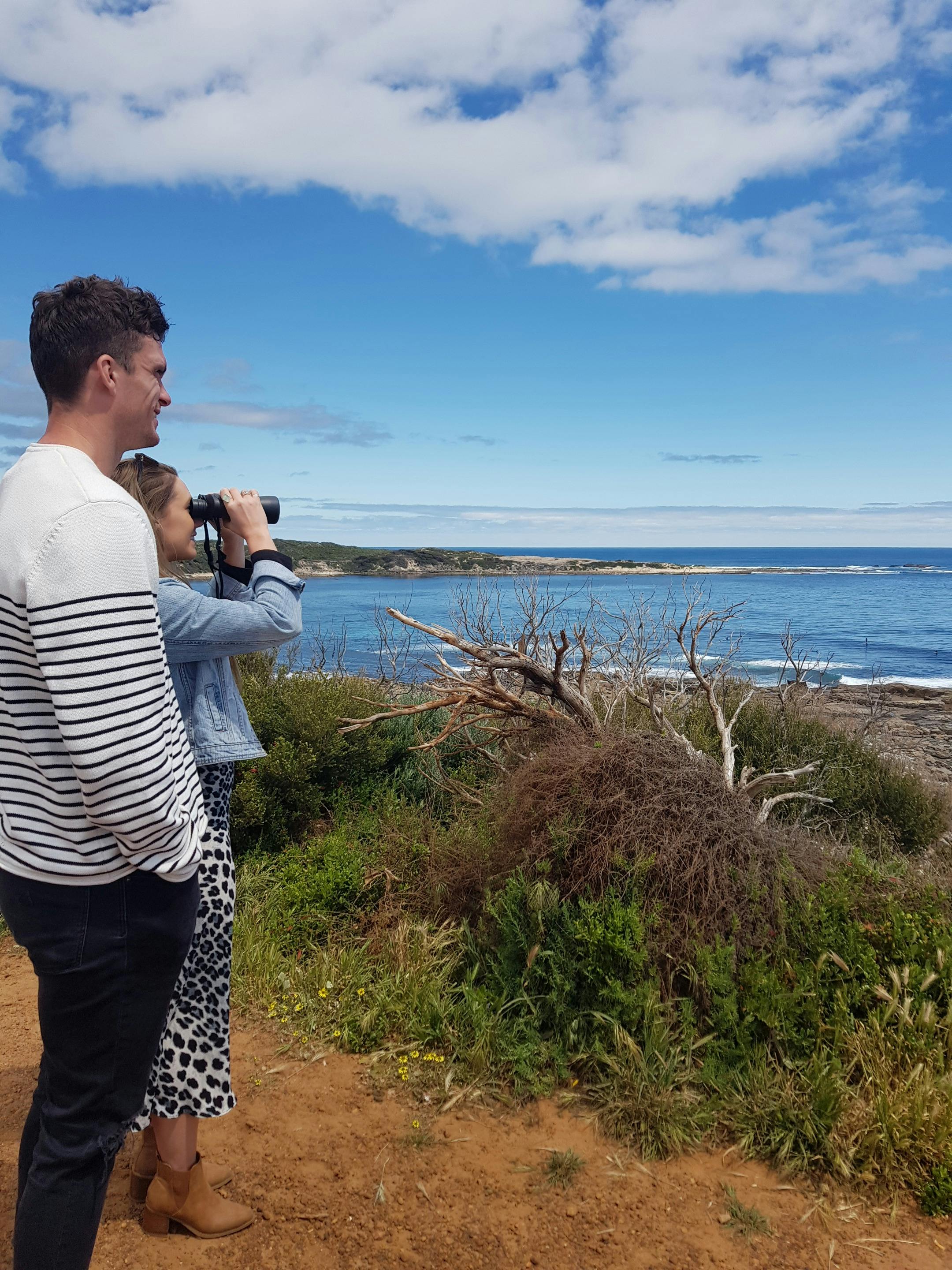 Whale Watching