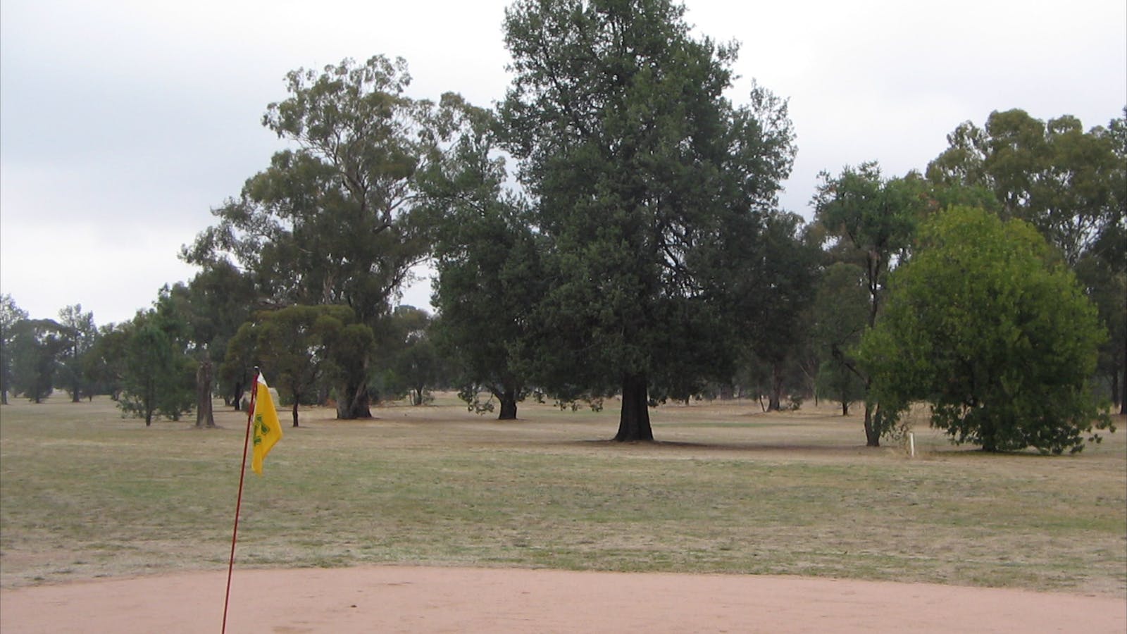 Henty Golf Course