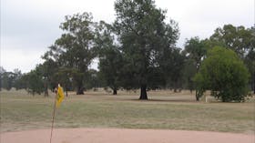Henty Golf Course