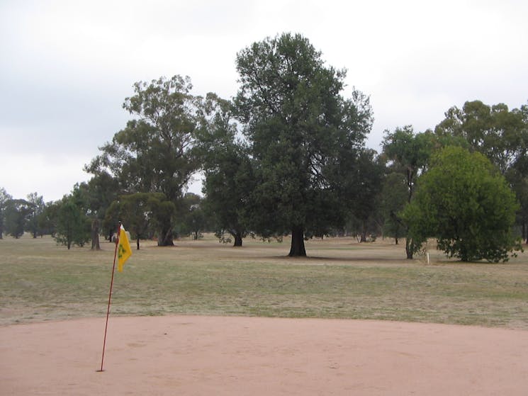 Henty Golf Course