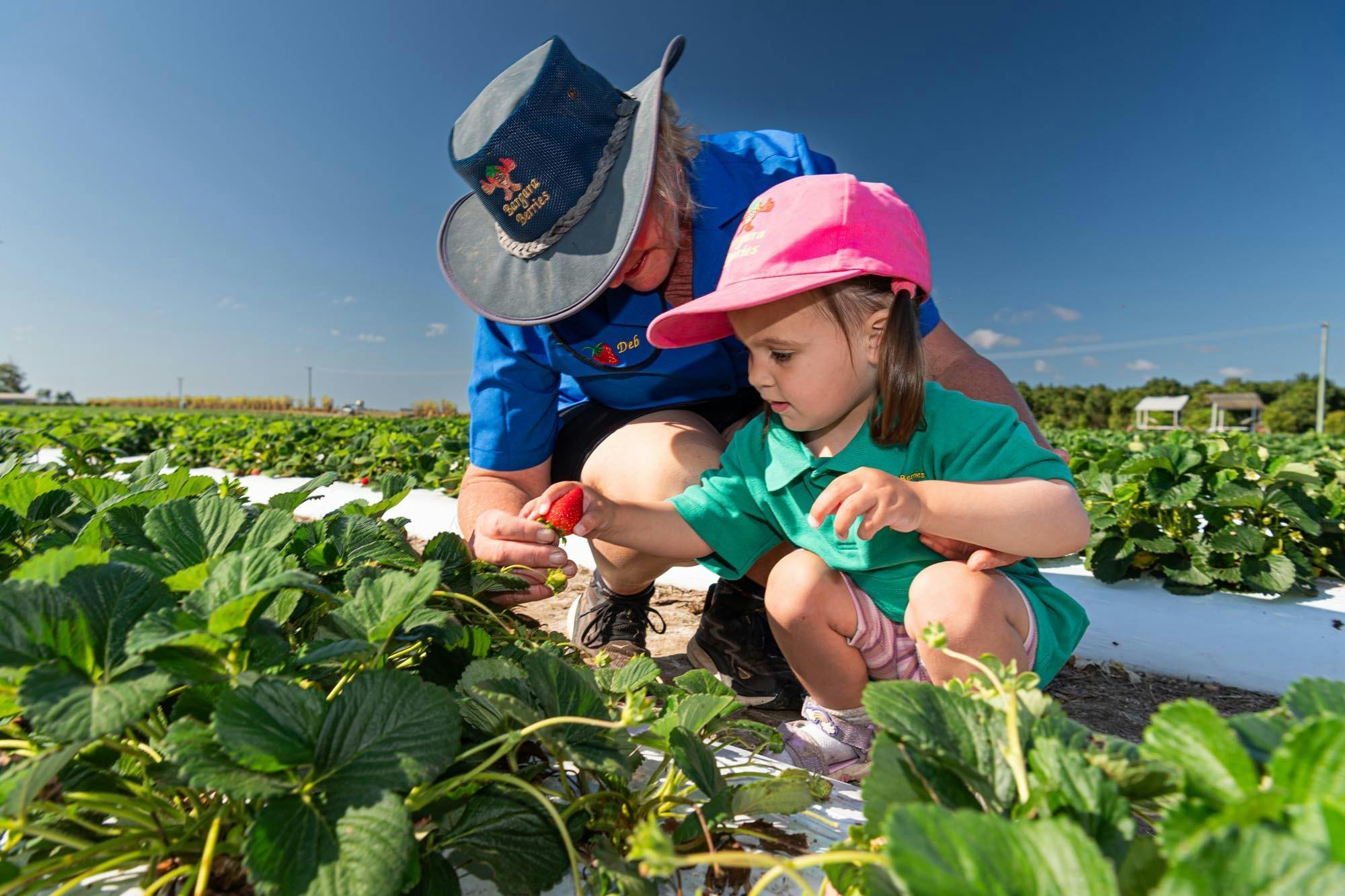 Family friendly farm experience