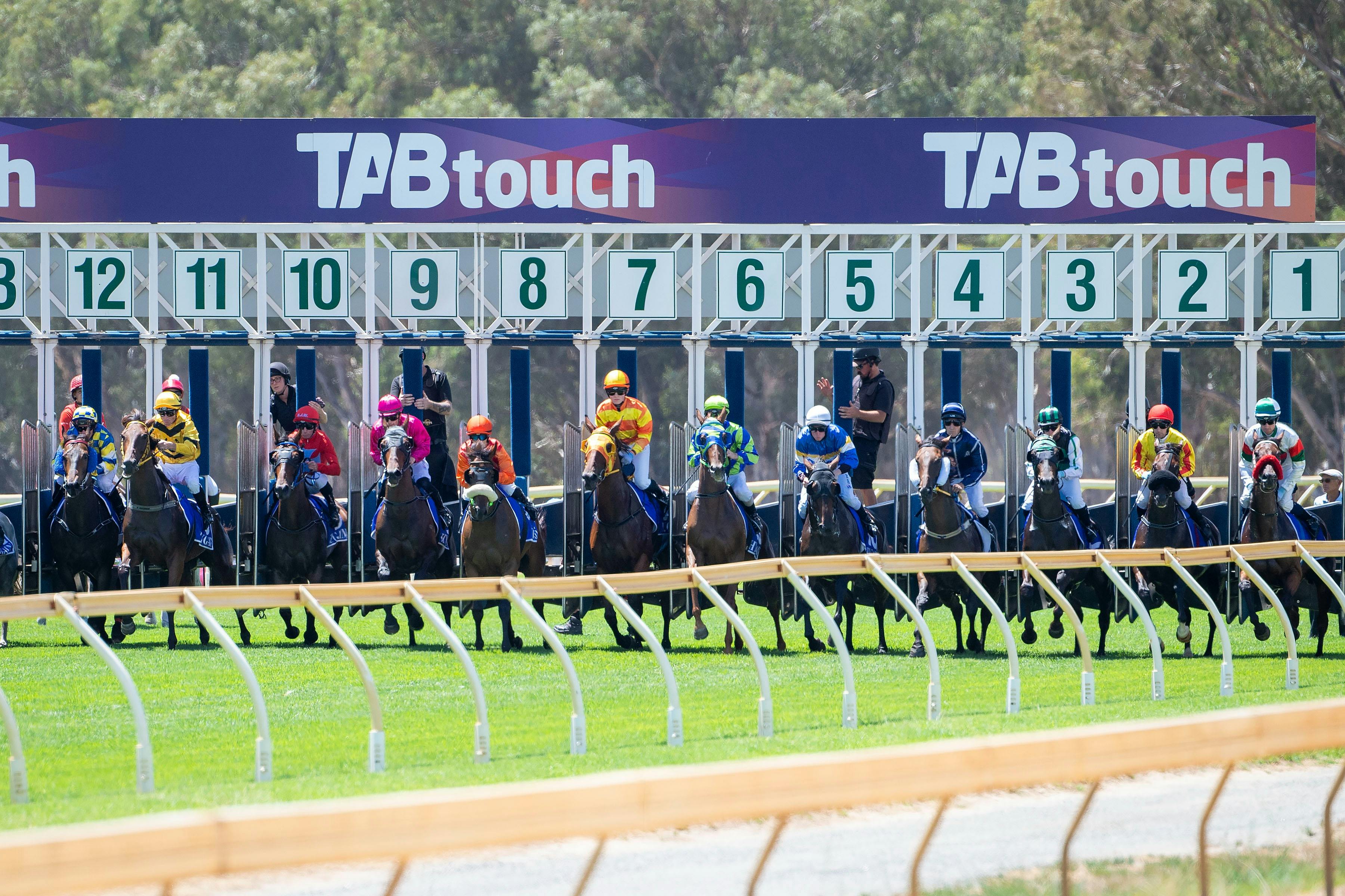 Starting Barrier at Pinjarra Park