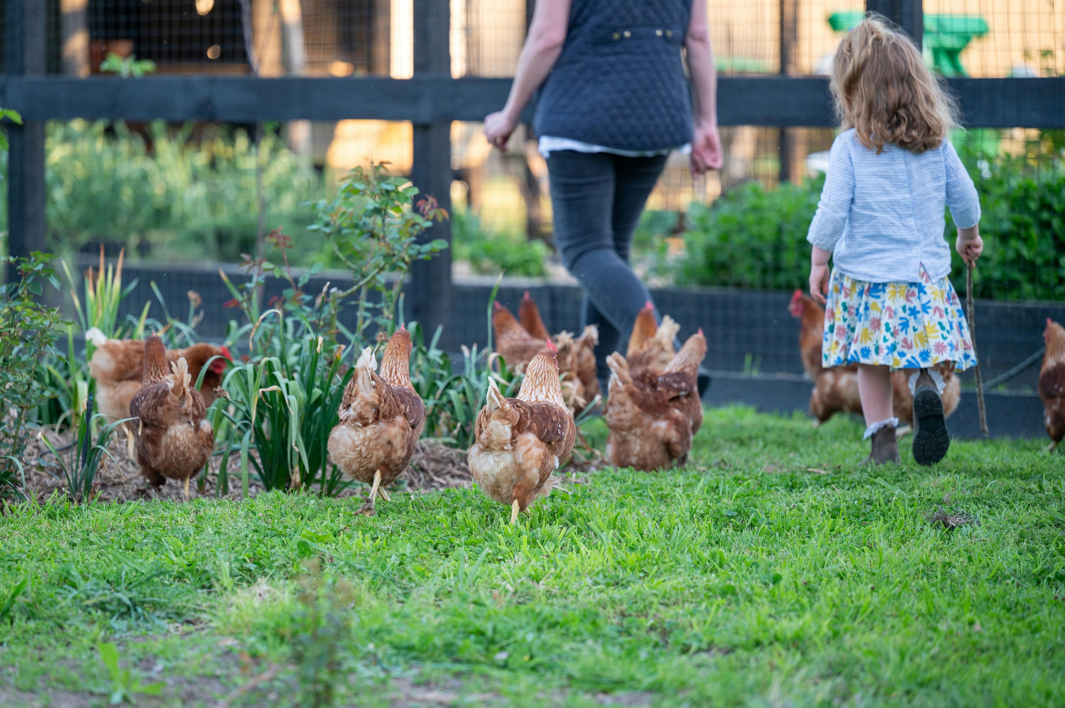 Dunmore Farm - luxury Victorian Farm Stay