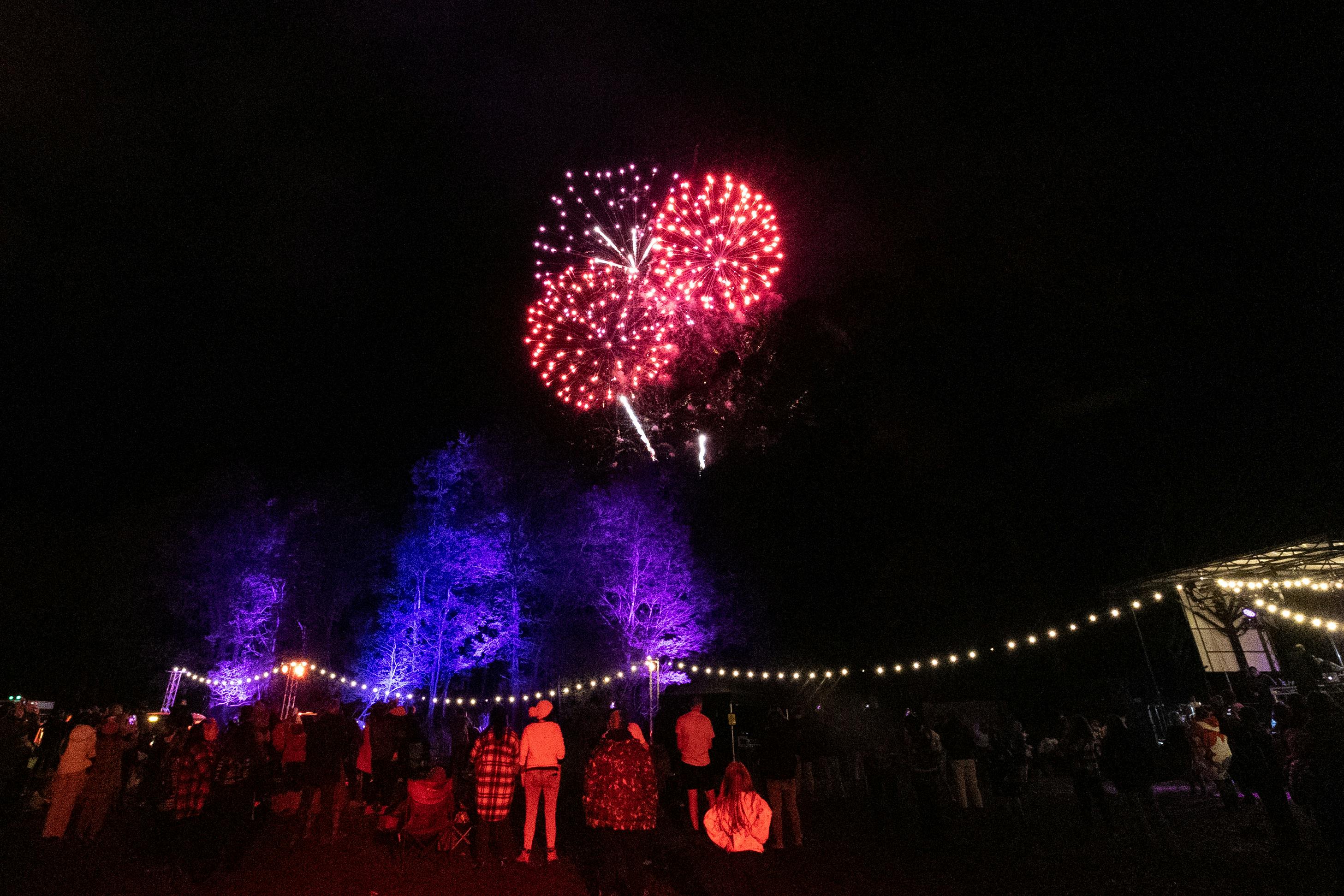 Southern Lights Festival