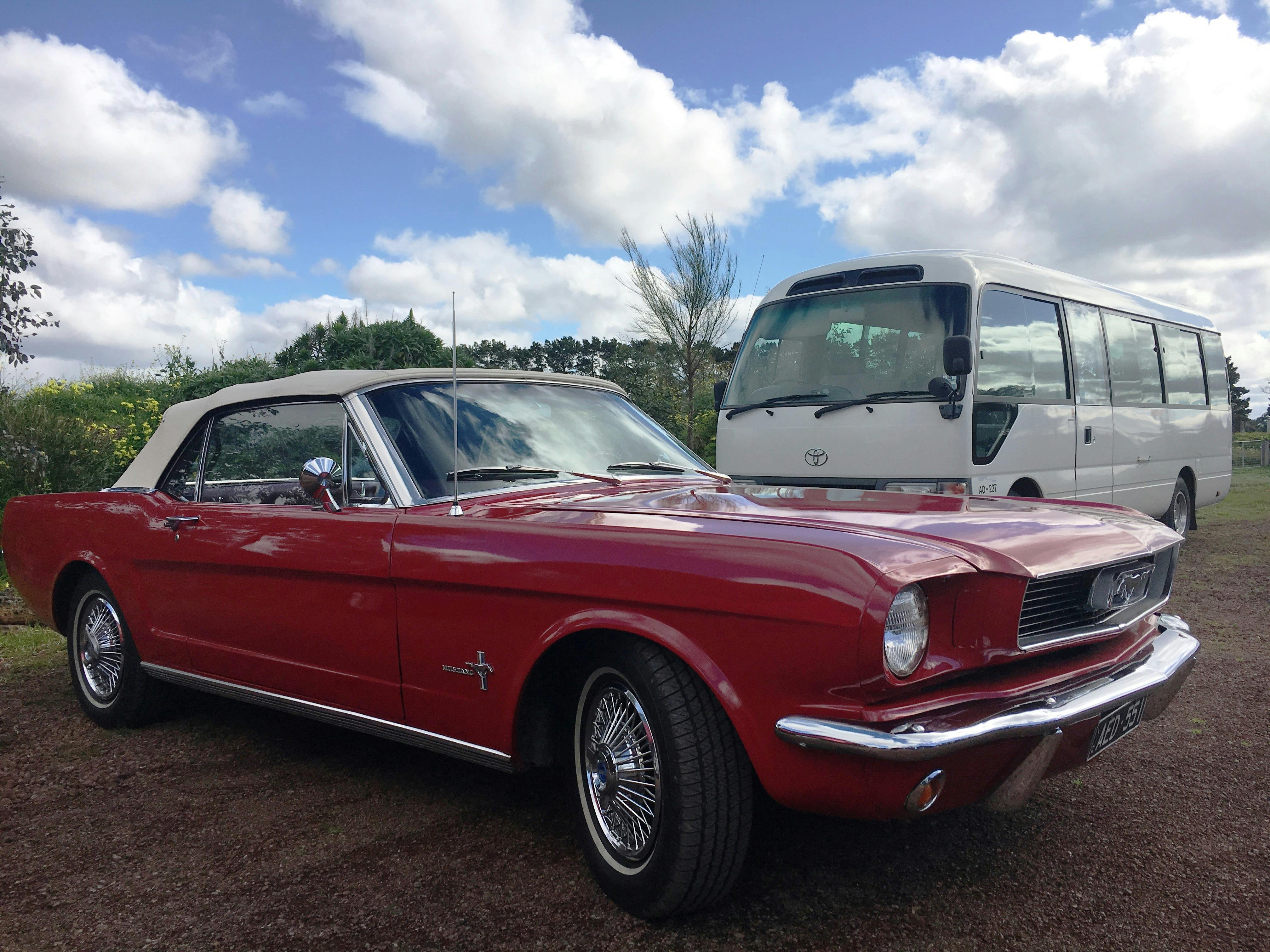 12 seater bus or 1966 Mustang Convertible can transport groups on a Great Ocean Road or winery tour