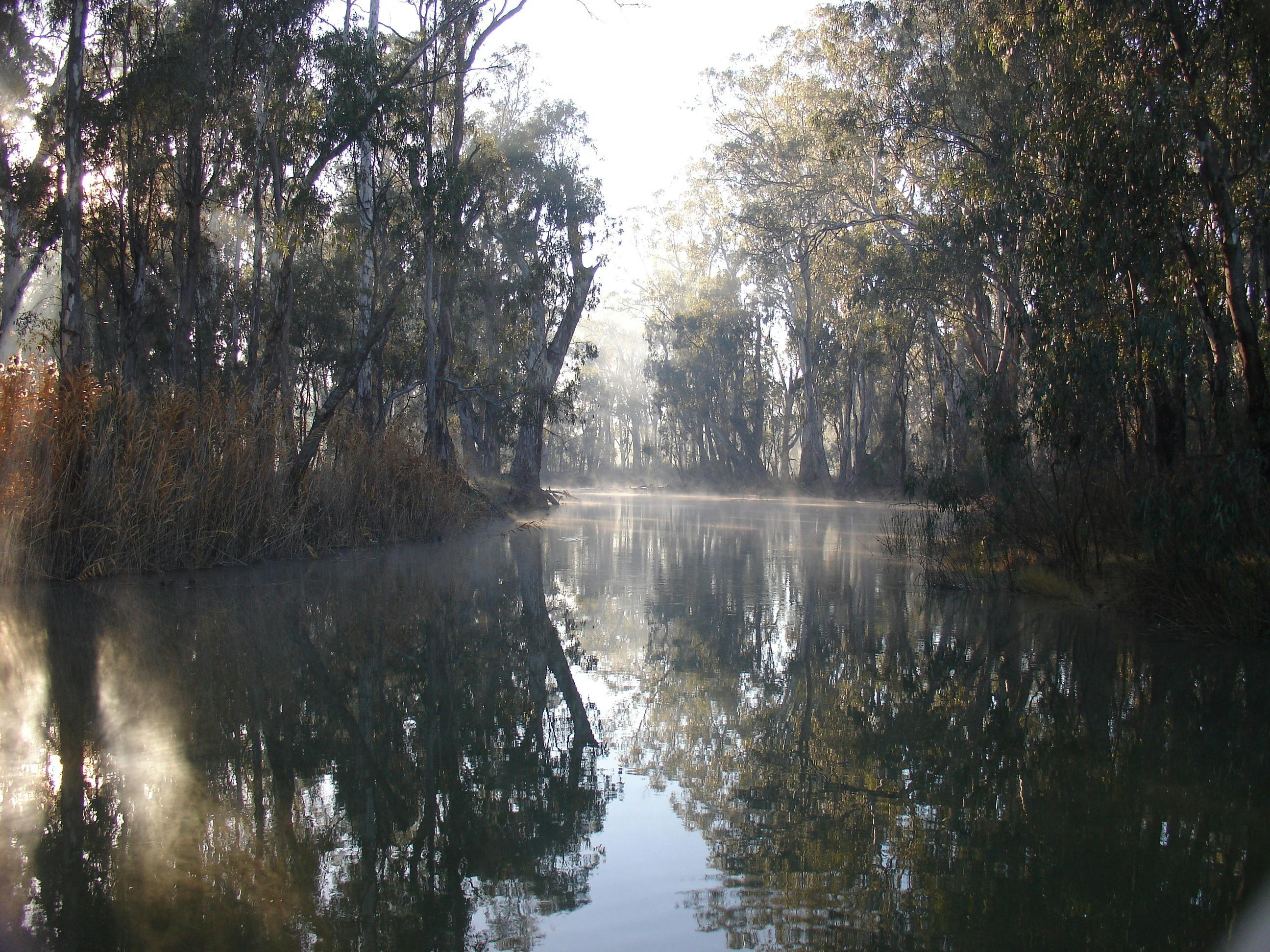 GULPA CREEK