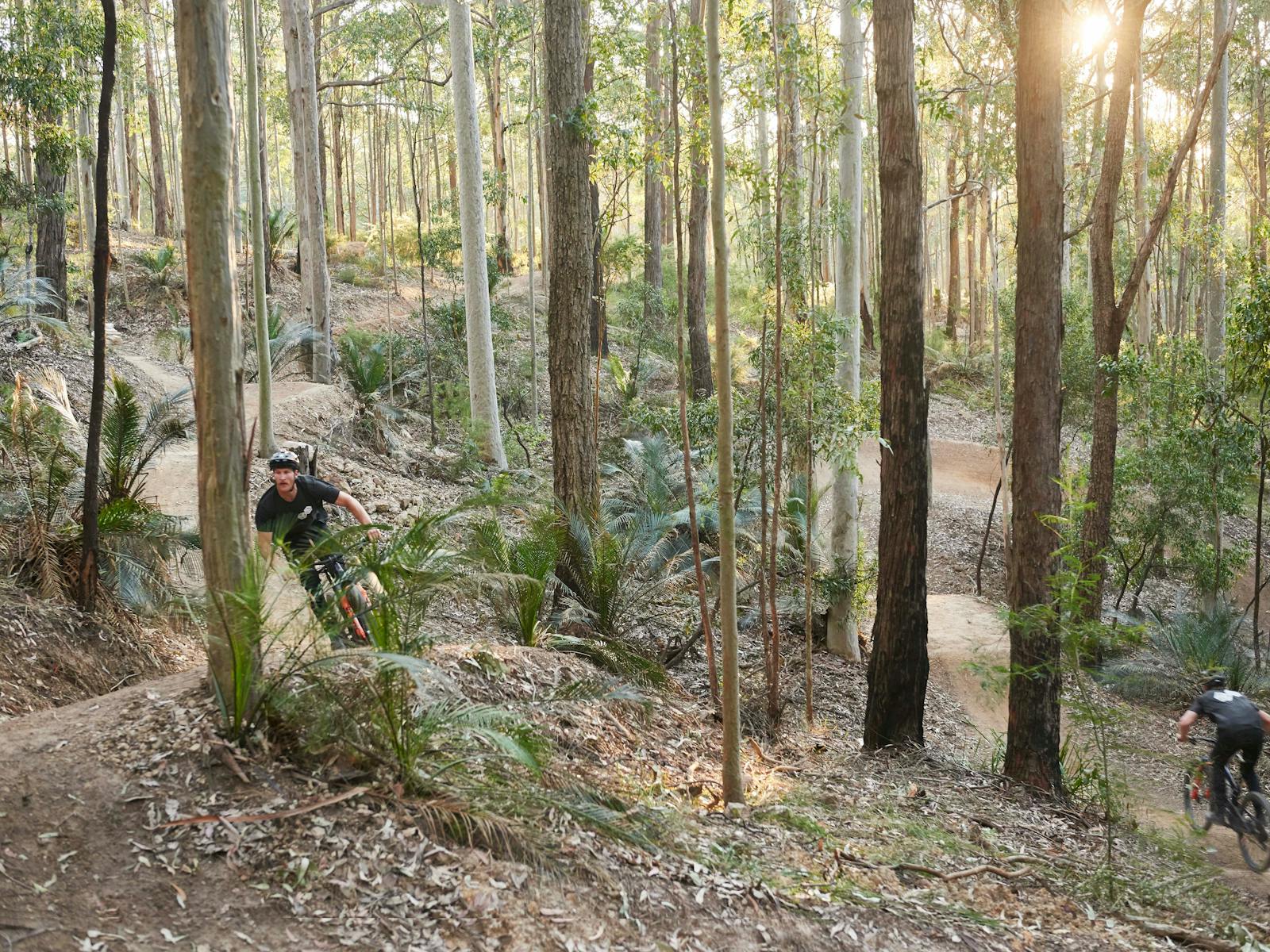 SCUM Superbowl MTB South Coast