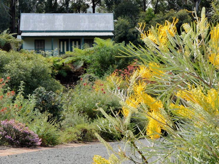 Illawarra Grevilla Park - 100 year old chapel