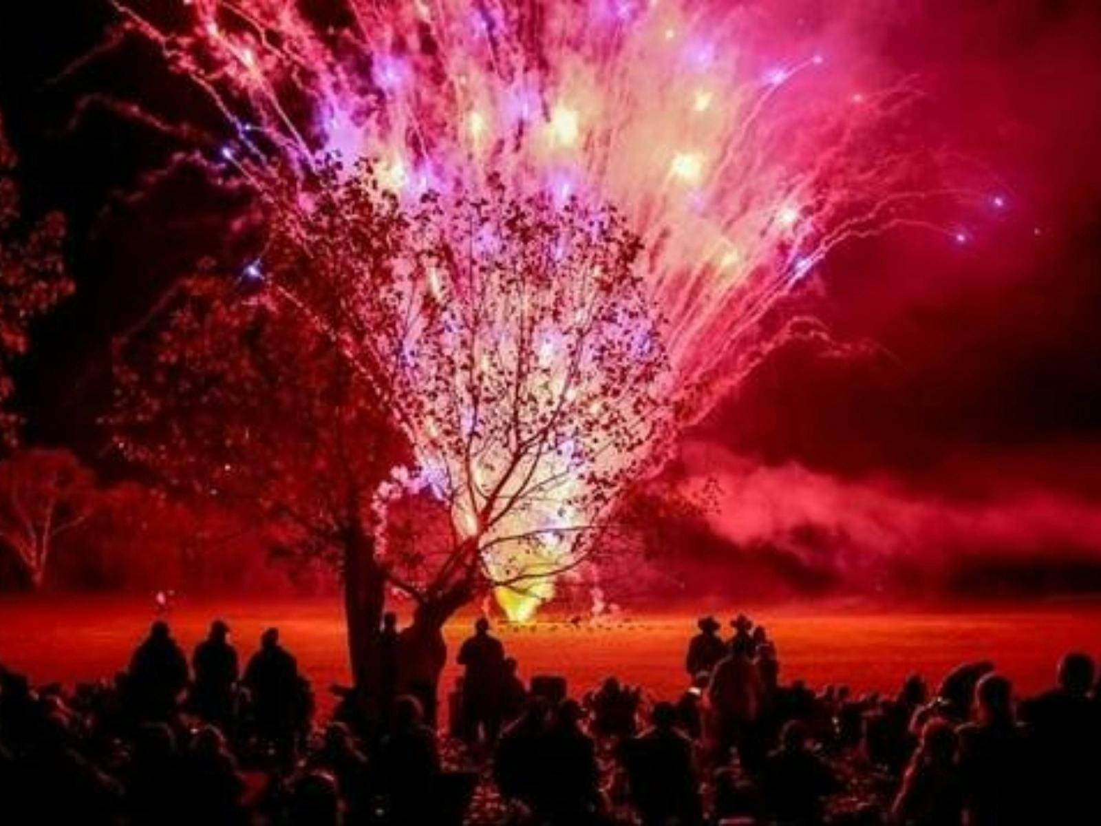 Wyangala Bonfire and Fireworks Spectacular