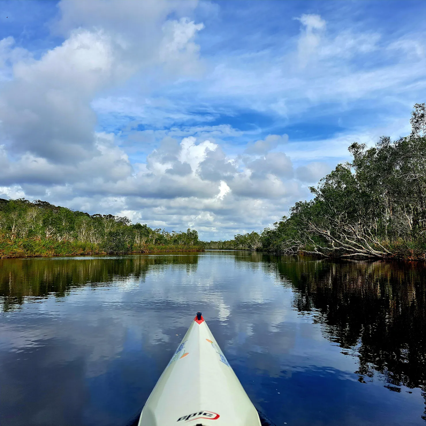 Paddling on the Noosa River