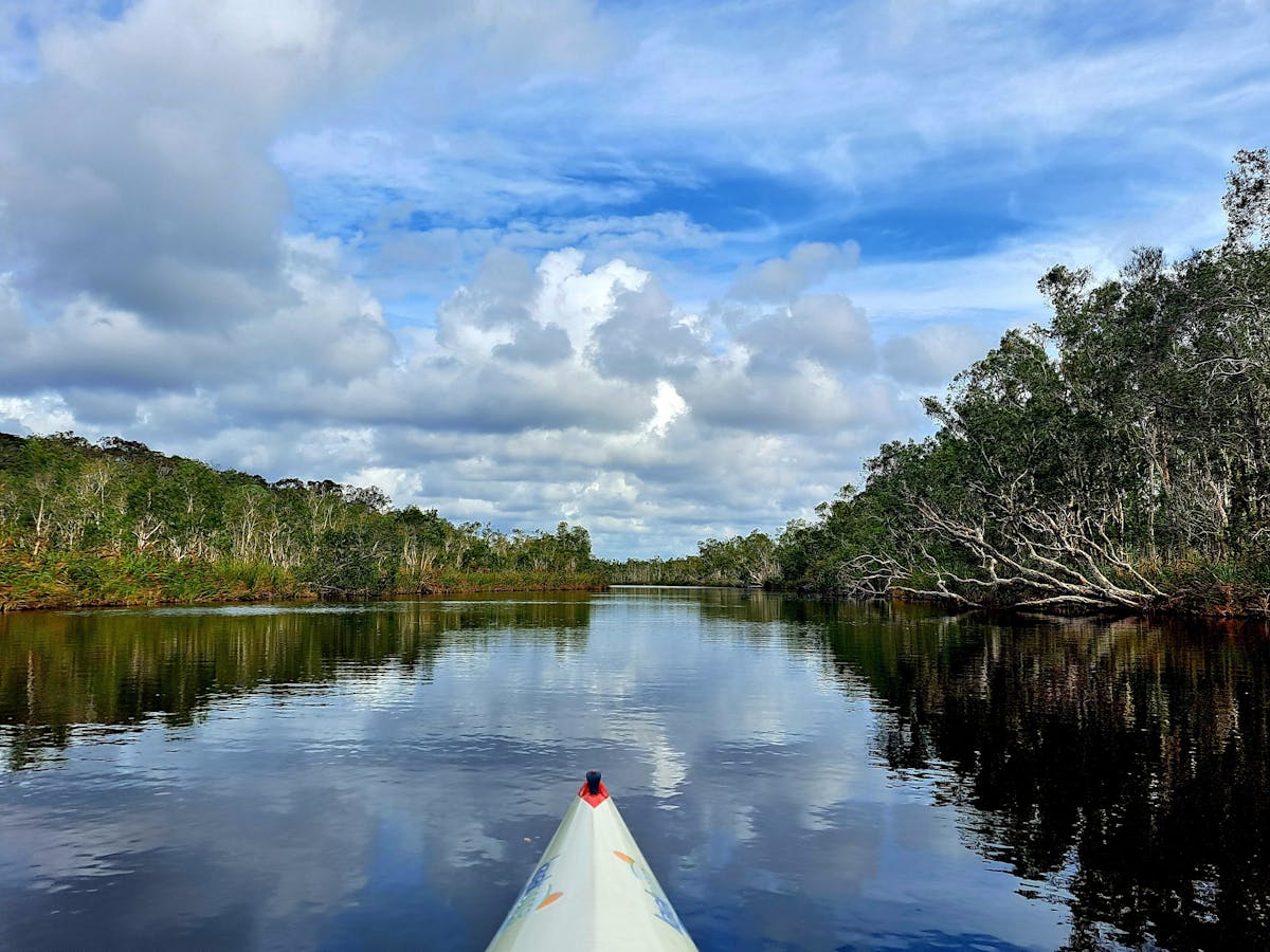 Paddling on the Noosa River