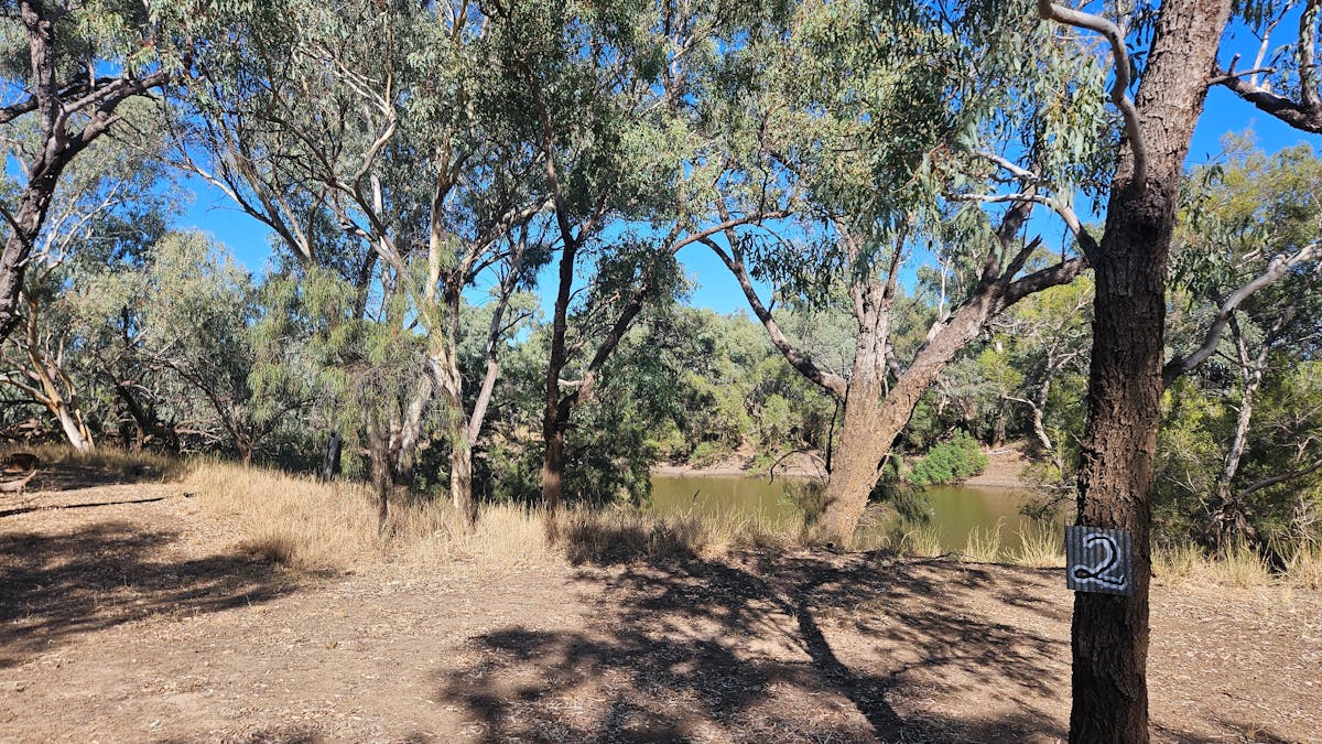Shaded campsite on the banks of the Warrego River at Ticklams Gardens