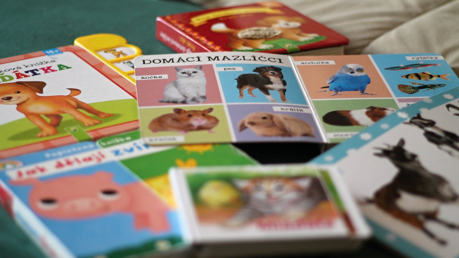 Image for Toy & Book Exchange at Coltman Plaza Lucas