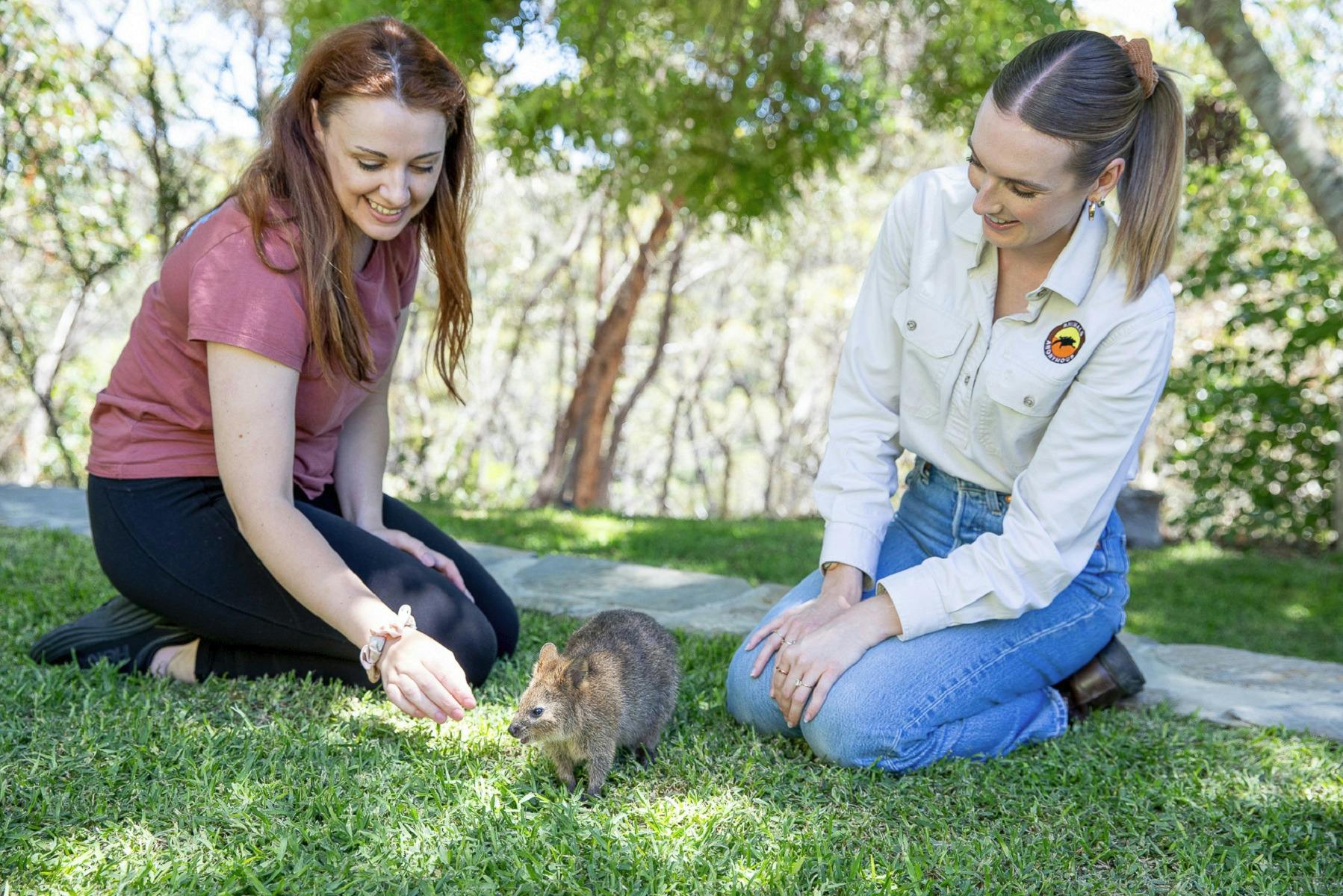 Animals Anonymous Wildlife Encounters