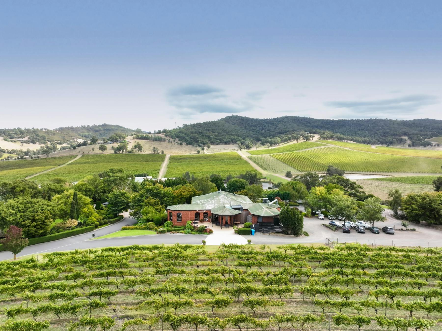 Image of vineyard withing De Bortoli Wines Yarra Valley Tours