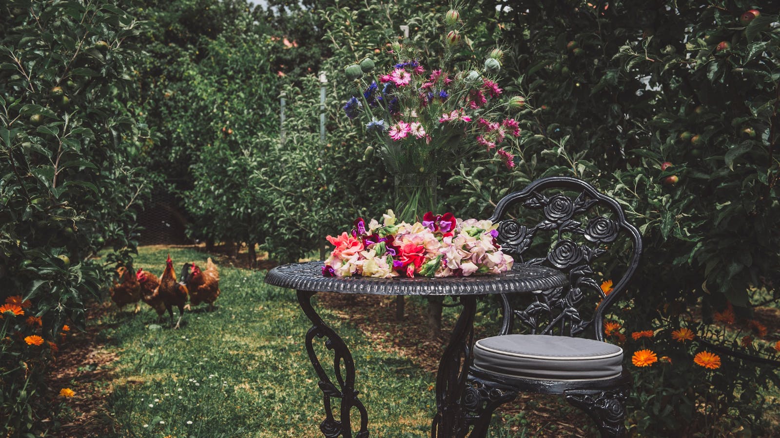 Orchard and own chooks