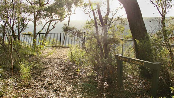 Bundanoon Creek walking track