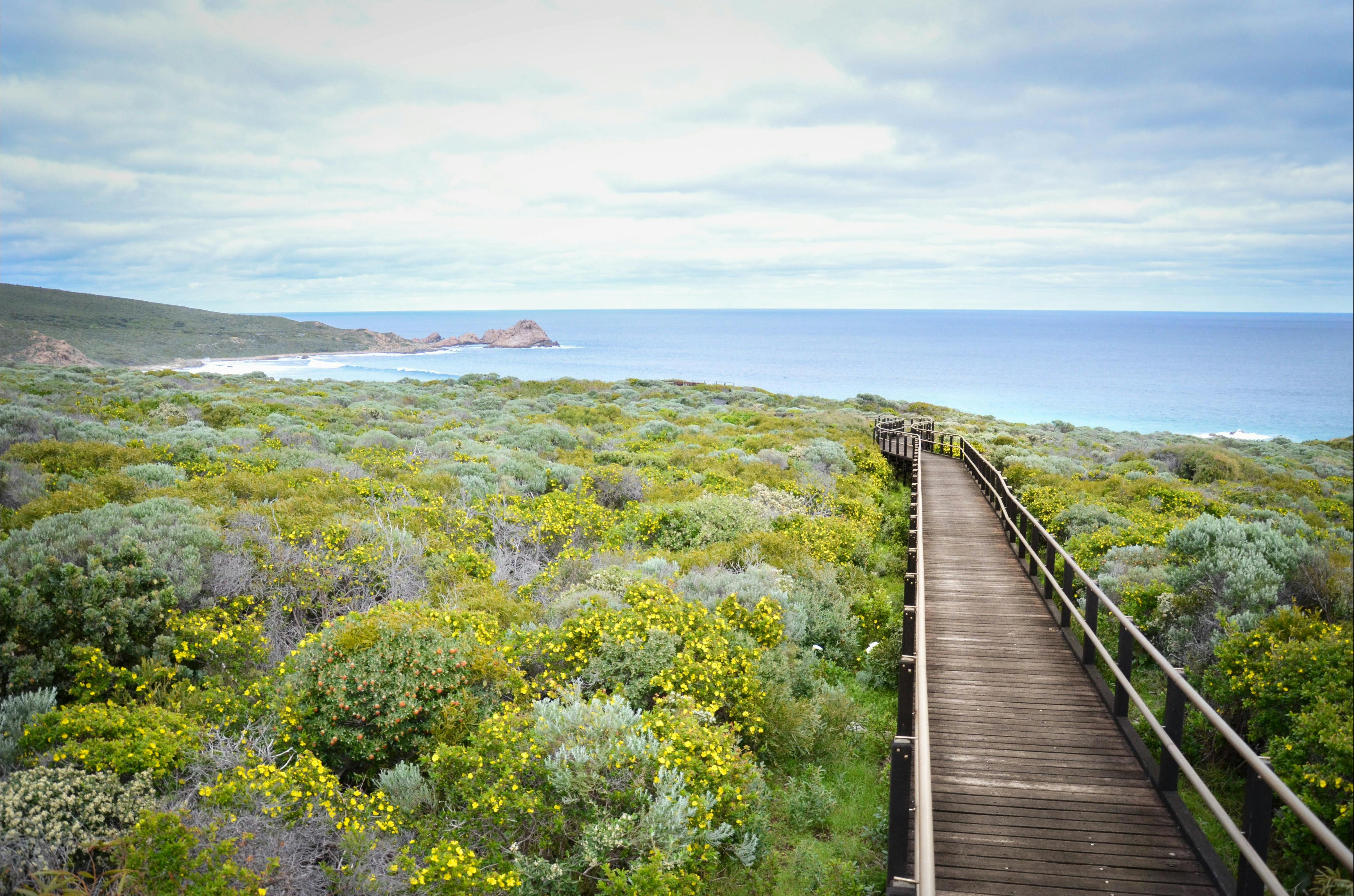 South West Eco Discoveries, Abbey, Western Australia