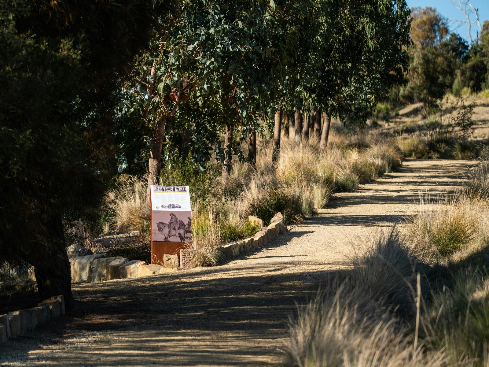 Waverley Wildflower Walk 2