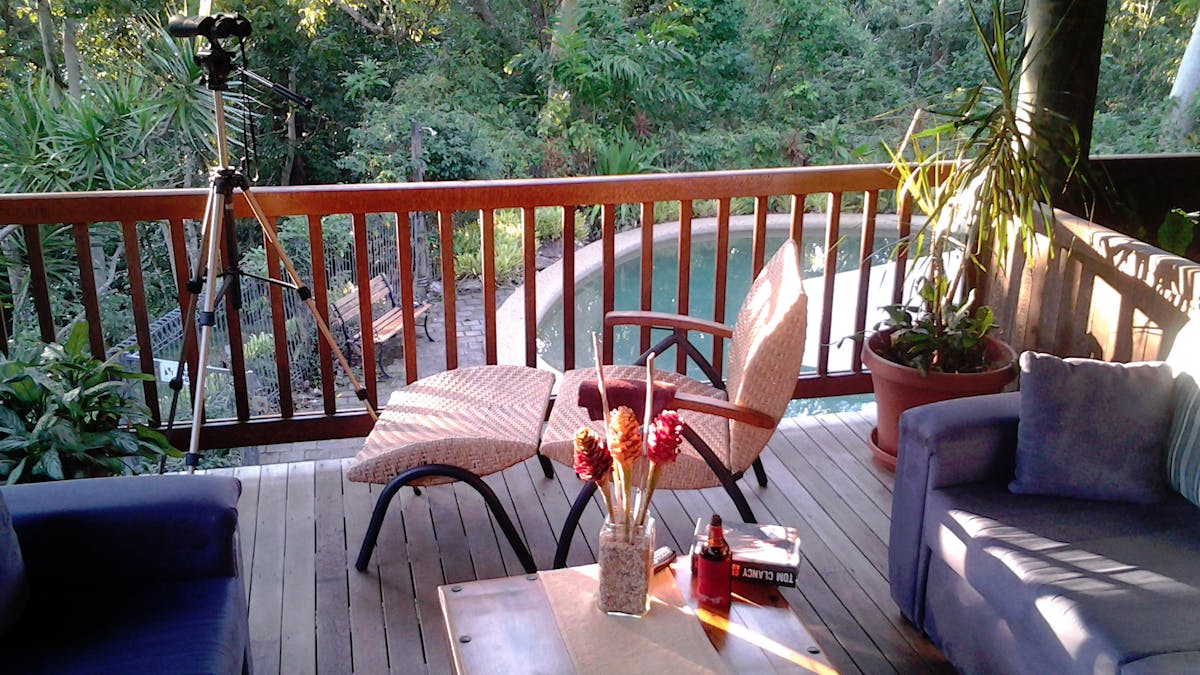 From the comfort of your chair the treetop lounge