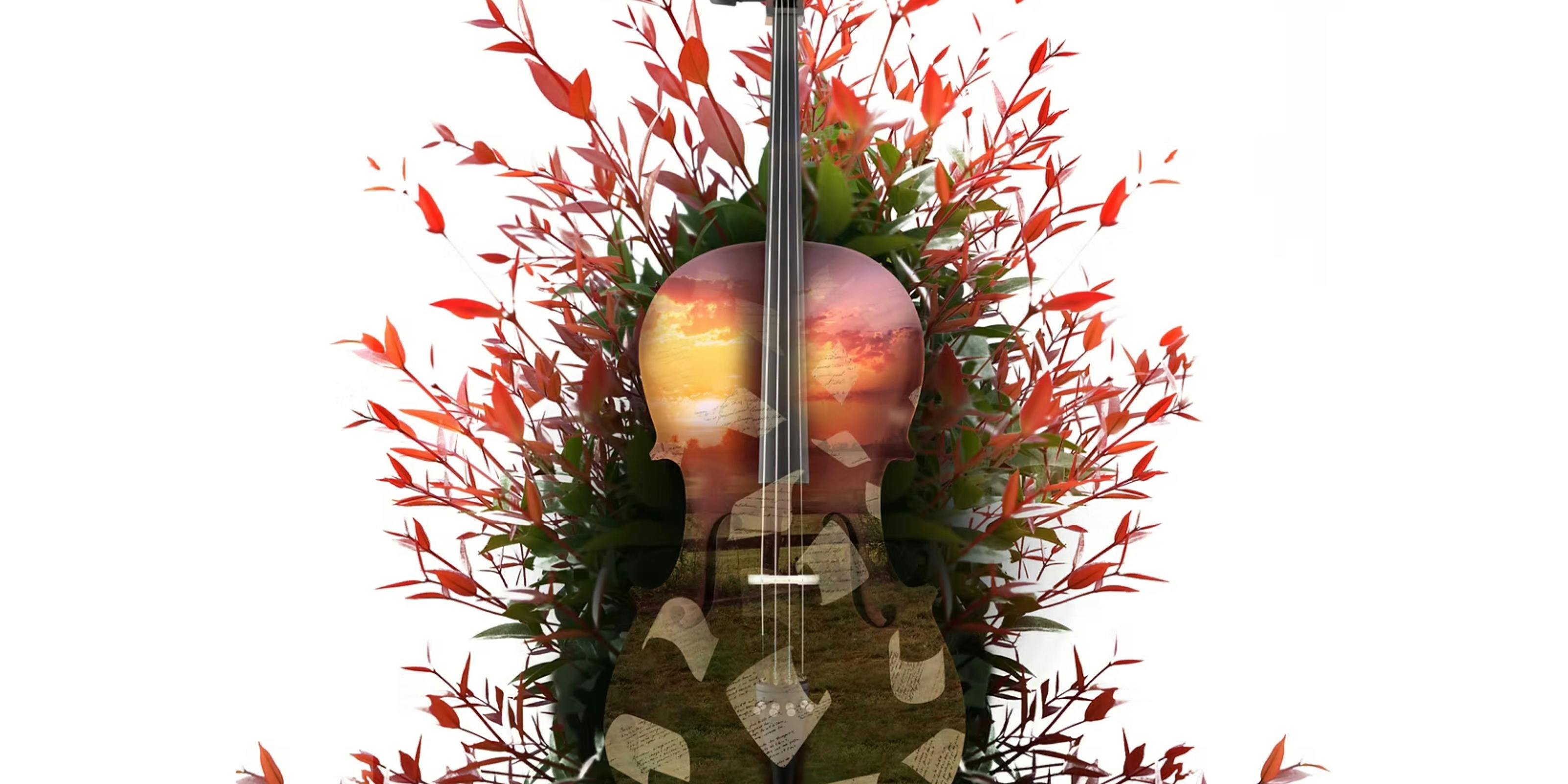 violin with red leaves sprouting out all around it