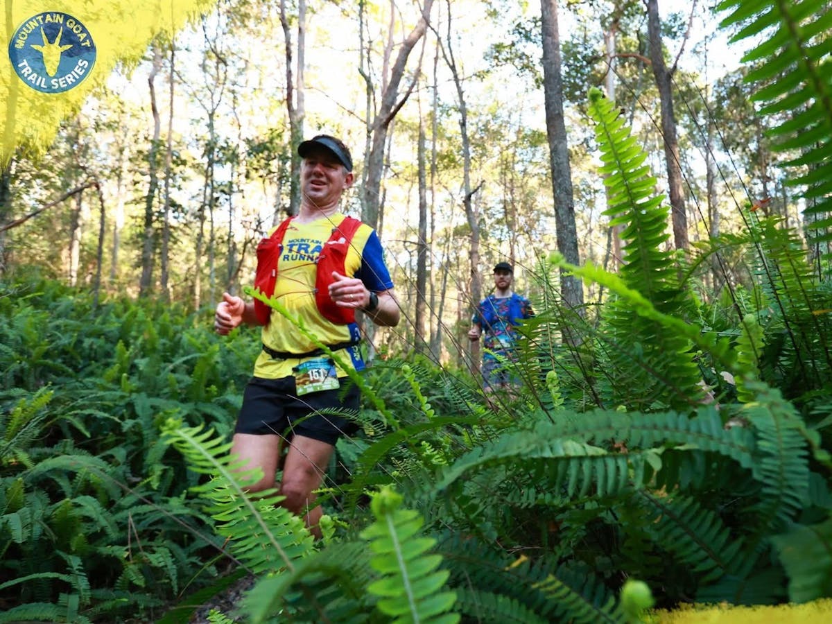 Trails on Mt Coot-tha