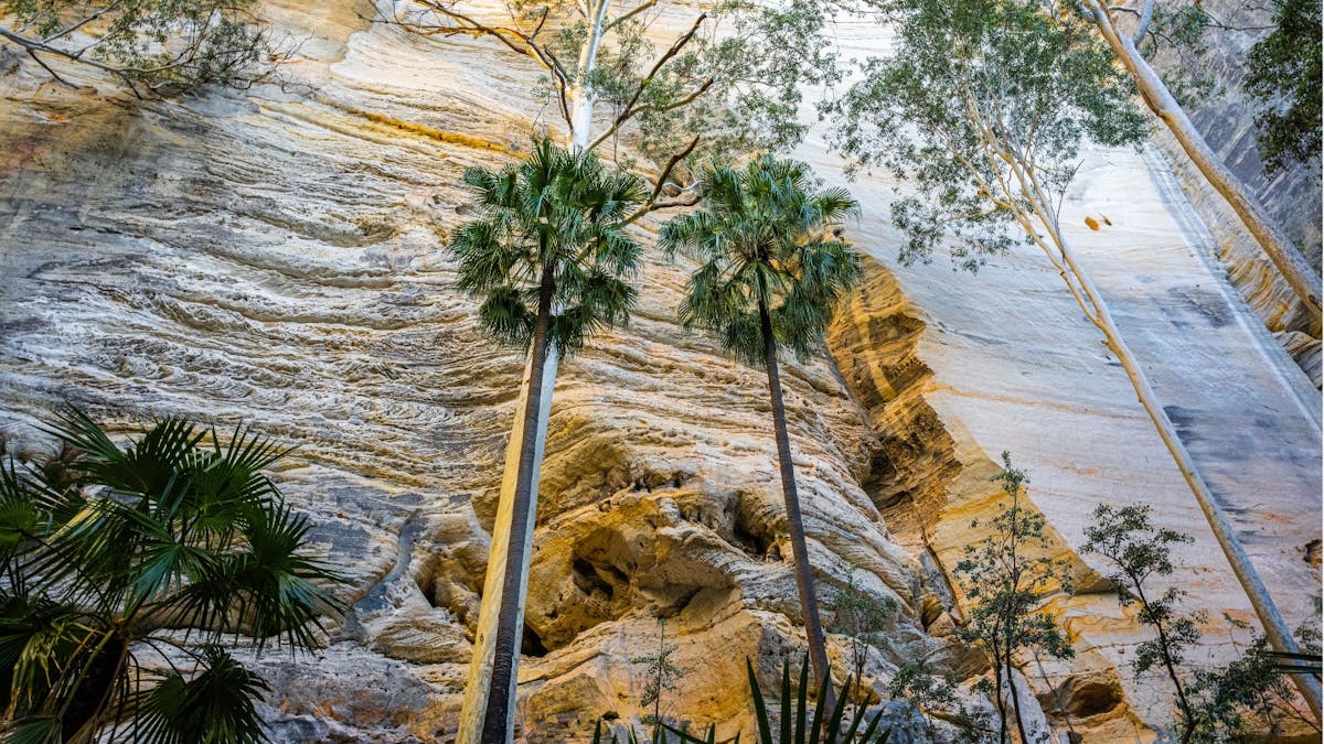 an image of sandstone cliffs