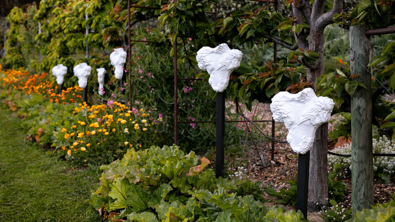 Play Warriors by Alice RG