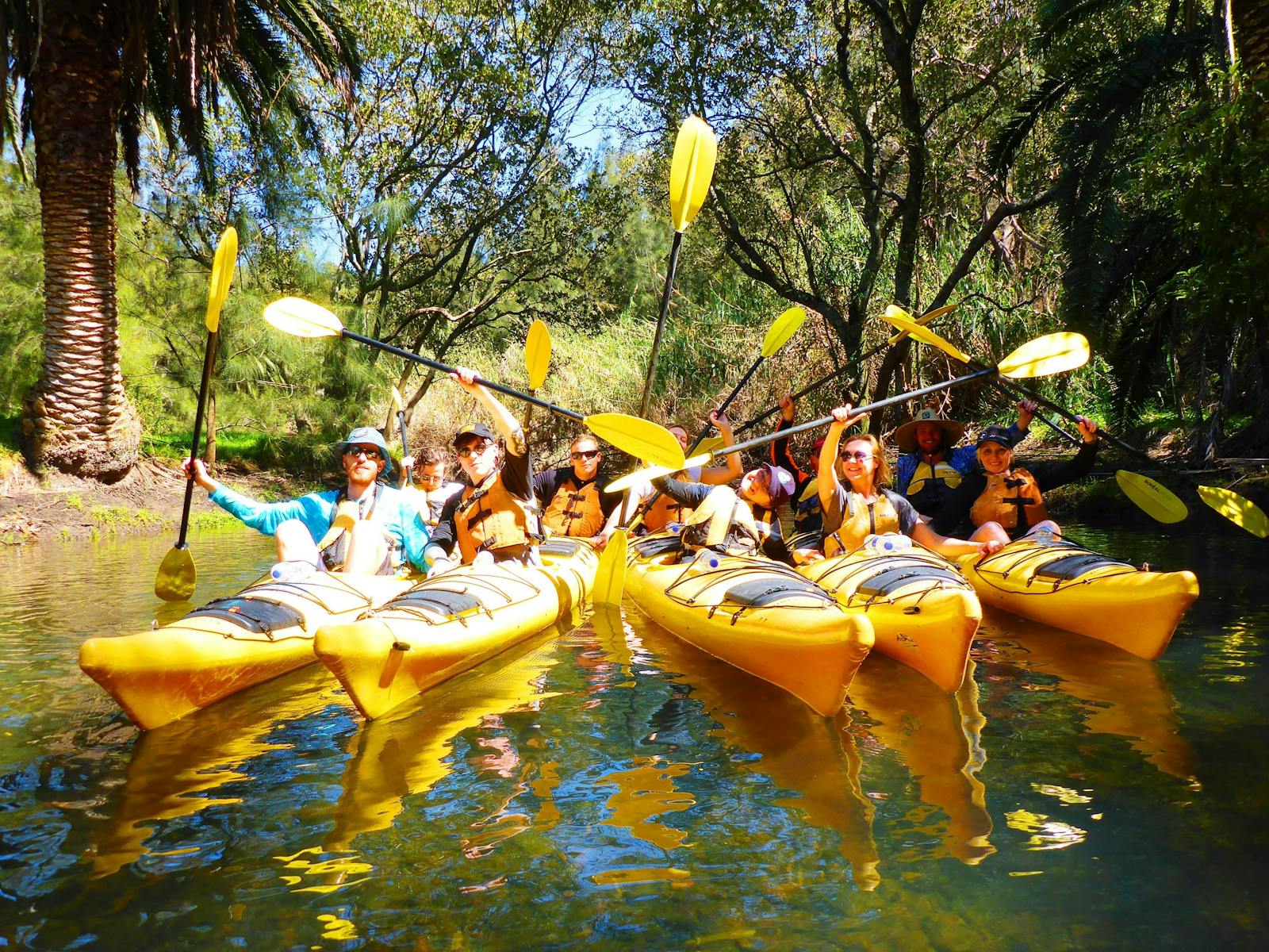 Kayaking Guided Experience