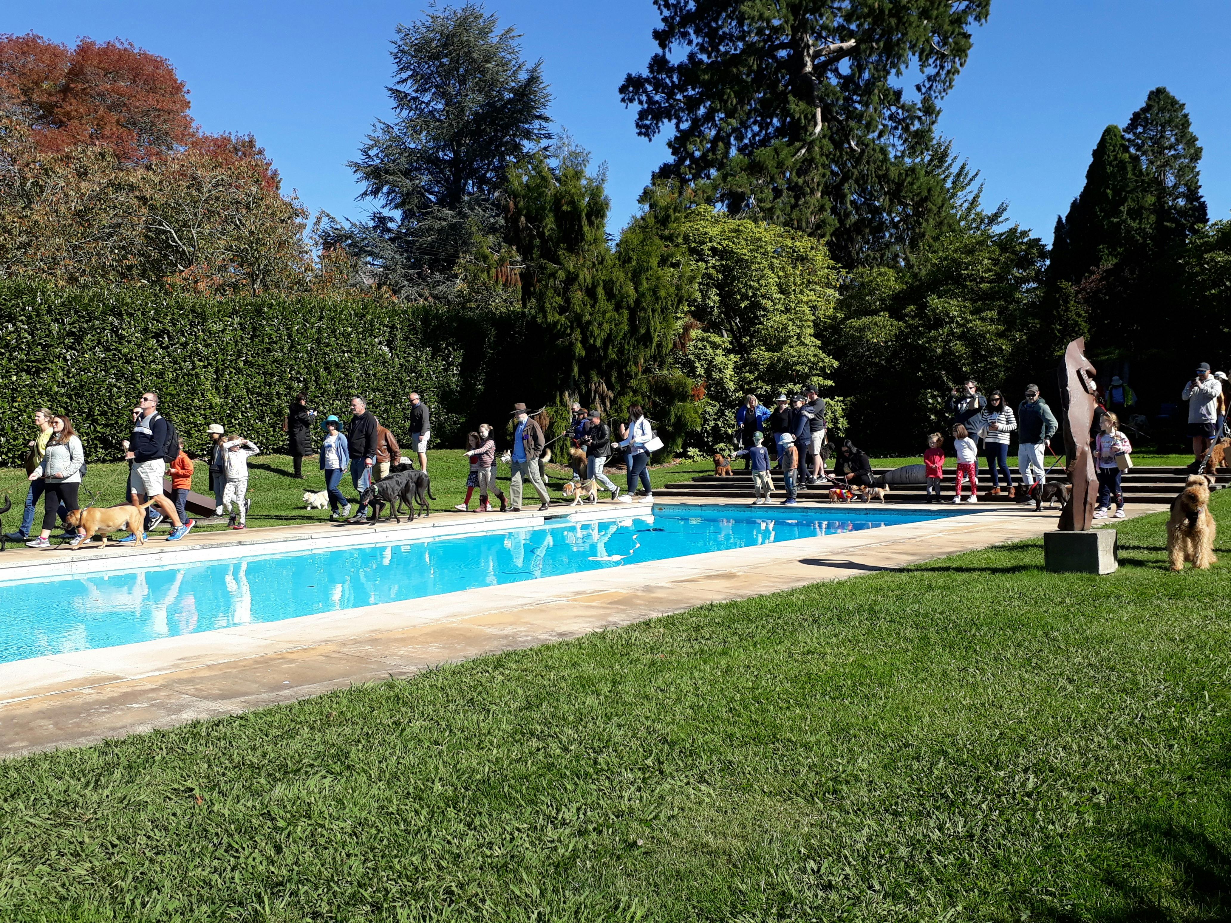 레트포드 공원 수영장 구역에 있는 개들과 주인들