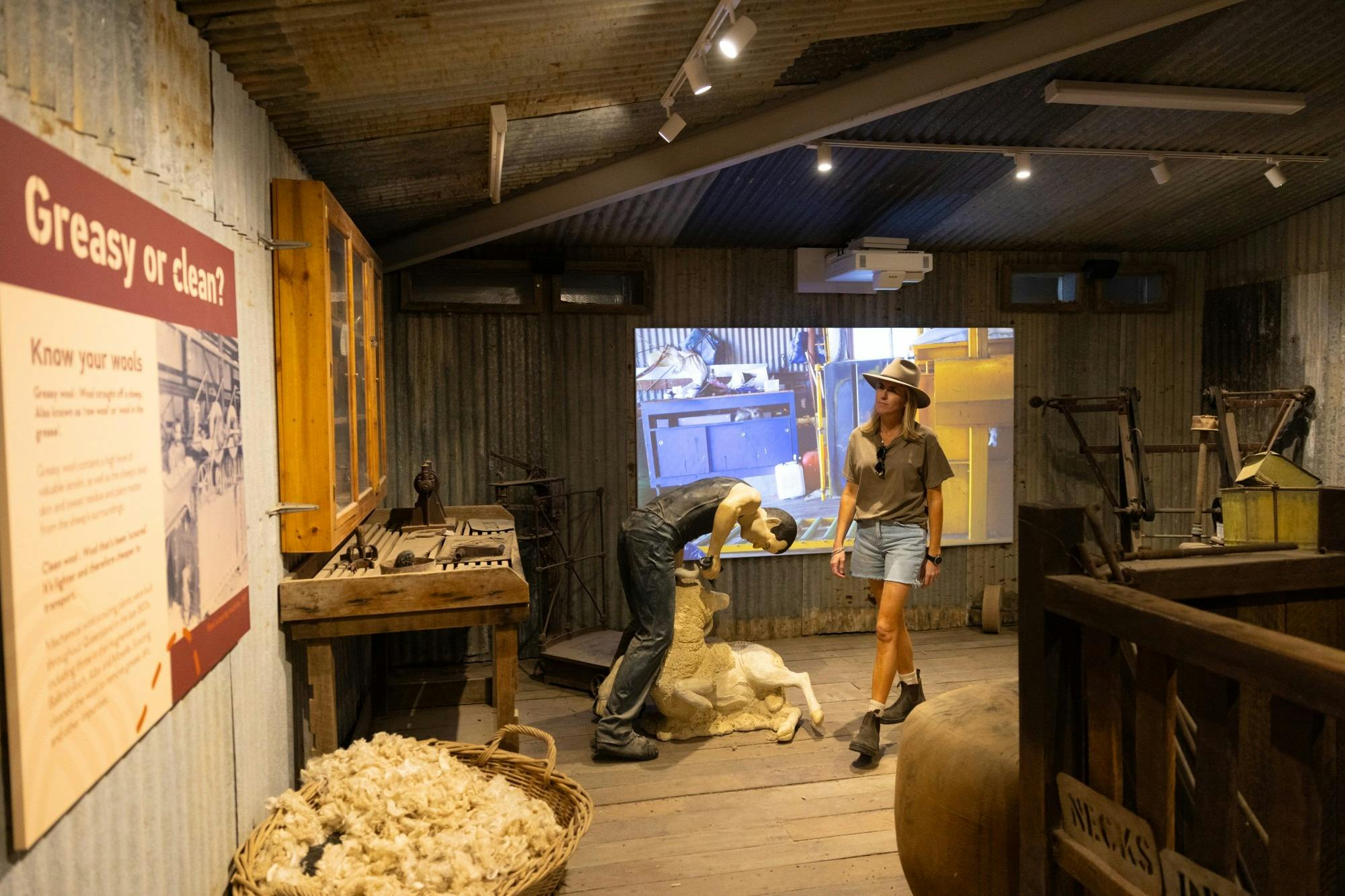 Wool shed display showing wool fleece and sheep been sheared with movie screen in background