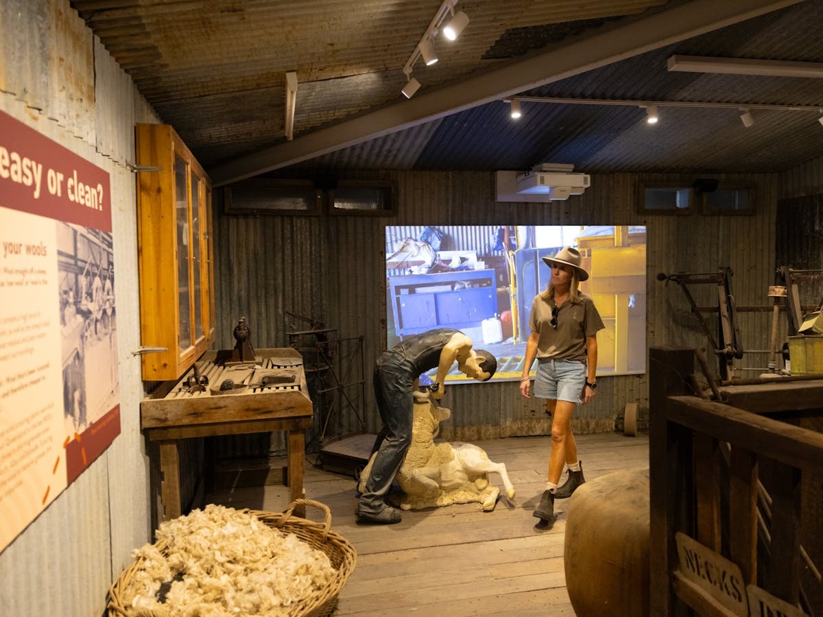 Wool shed display showing wool fleece and sheep been sheared with movie screen in background