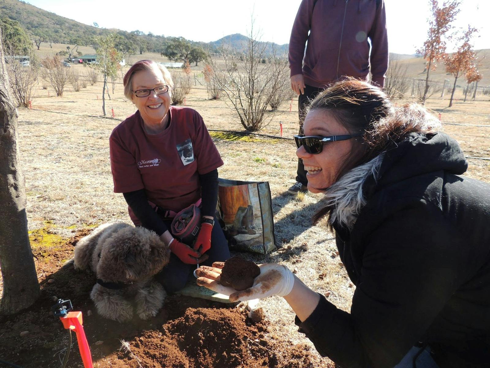 Truffle Happiness