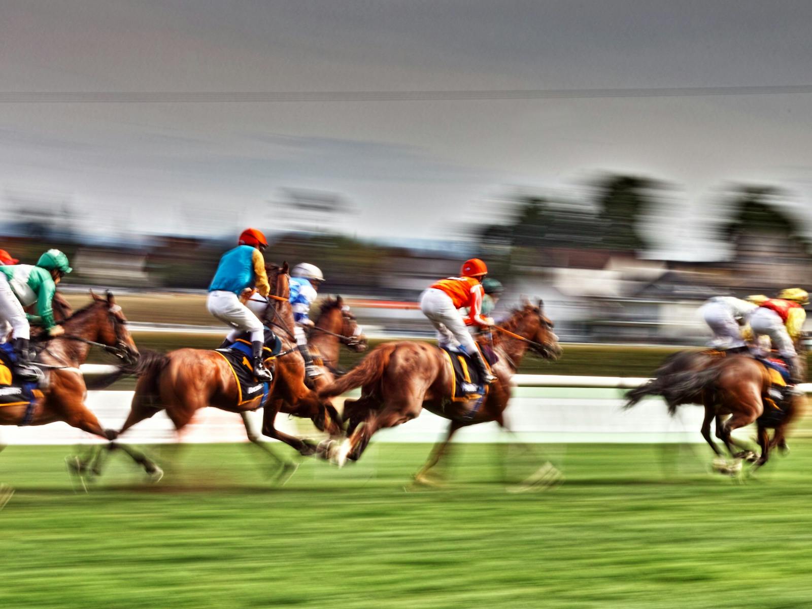 Image for Grafton July Racing Carnival