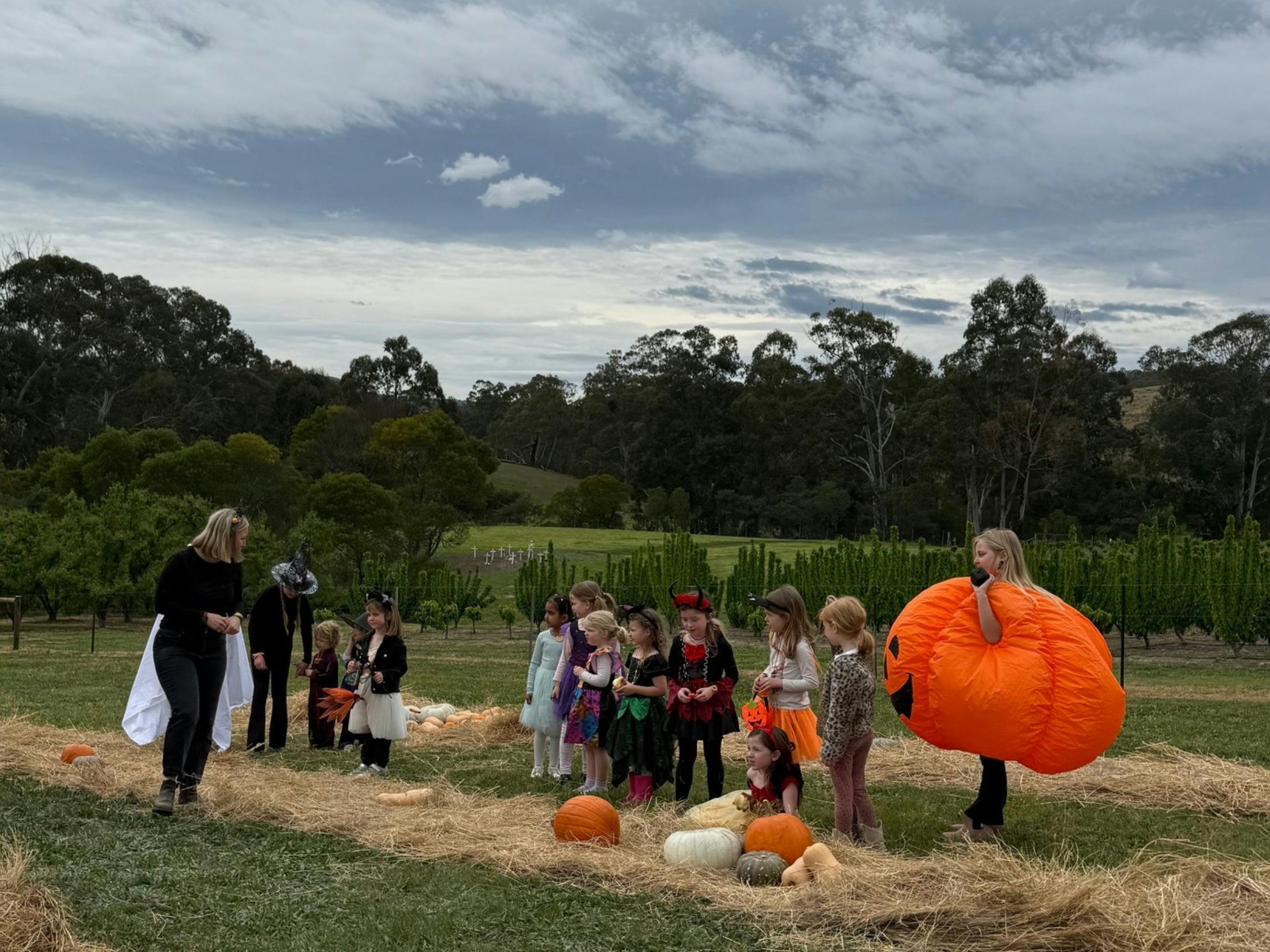 A photo of children lined up in a pumpkin patch in halloween costumes
