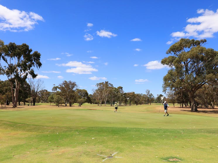 One of the holes at Rich River Golf Club only a few minutes from Moama Central Motel