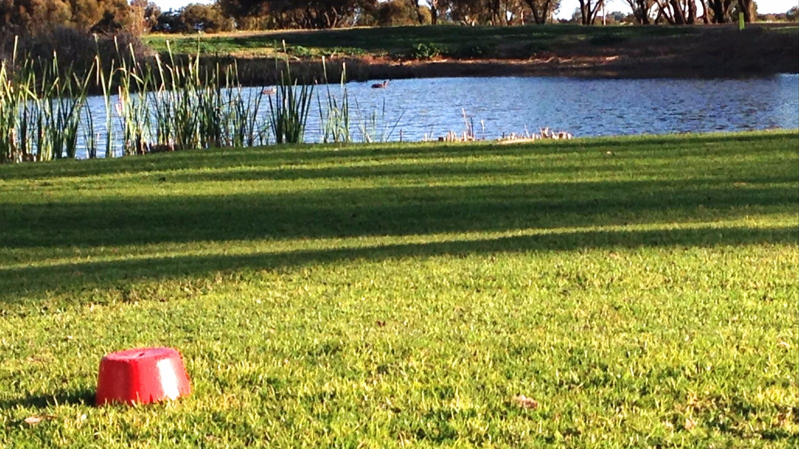 Wallaroo Golf Club