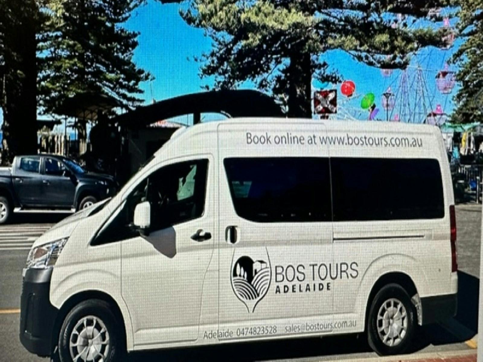 A white van with the logo for Bos Tours Adelaide parked in front of a ferris wheel.